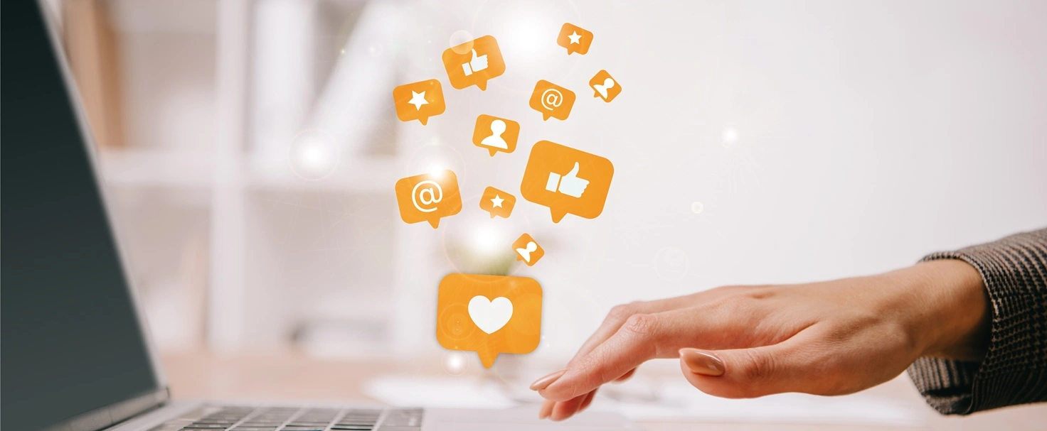 SEO Local - Consultor SEO - Consultoria SEO - Consultor de SEO - Consultoria de SEO